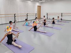 -中央芭蕾舞团·中芭艺蕾(酒仙桥明星校区)