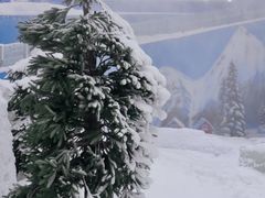 -湘江欢乐城欢乐雪域