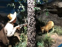 -陕西自然博物馆