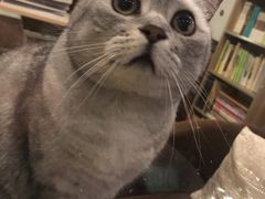 -隅cafe(傅厚岗店)