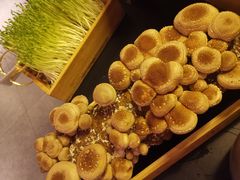 -大头椰·椰子鸡火锅(新梦店)