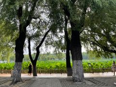 -长春市南湖公园