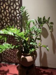 -禾颜社·精致美容