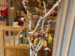 -村上一屋(望京店)