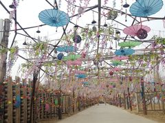 -北京呀路古热带植物园