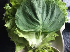 -炭虎烤肉(桂林路店)