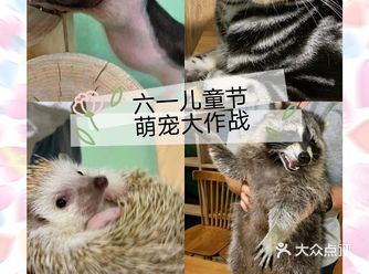 儿童节陪宝贝撸宠，单人票才四十二太便宜了吧