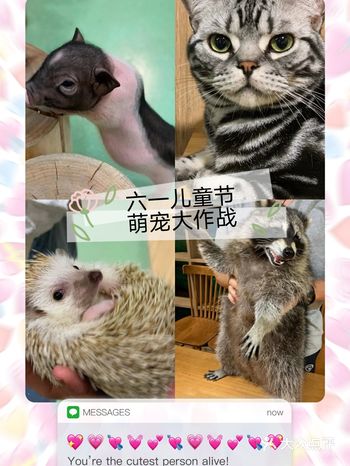 儿童节陪宝贝撸宠，单人票才四十二太便宜了吧