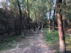 -亲兄弟真人CS团建拓展基地