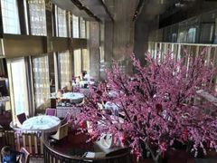 -金轩中餐厅 Jin Xuan(浦东丽思卡尔顿酒店)