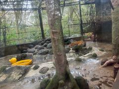 -海南热带野生动植物园