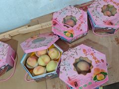 -南汇水蜜桃采摘(大团店)