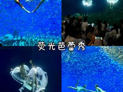 -合肥海洋世界