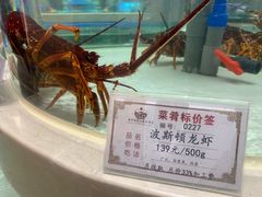 波士顿龙虾-白金汉爵大酒店-24小时餐厅