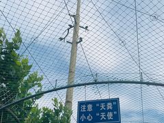 -西霞口神雕山野生动物世界