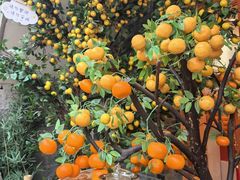 -重庆十八梯传统风貌区