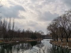 -大兴滨河森林公园