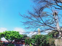 -广州莲花山旅游区