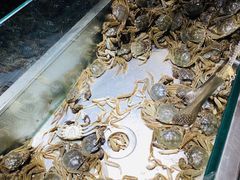 -欢乐牧场海鲜烤肉自助(牡丹园店)