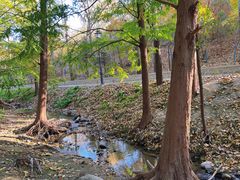 -白水寺森林公园