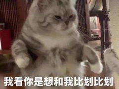 -老韩煸鸡·中国炸鸡(水塔美食街店)