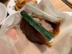 -守柴炉烤鸭(科华中路王府井店)