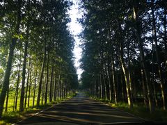 -月河湾马术俱乐部(朝阳店)