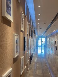 -上海首尔丽格医疗美容医院