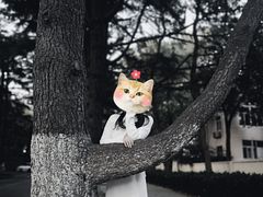 -八大关景区