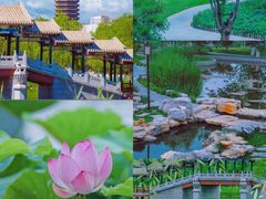 -西海子公园