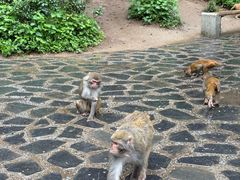 -黔灵山公园-南门售票处