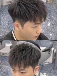 -YESIDO椰岛造型