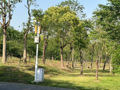 -上海海湾国家森林公园