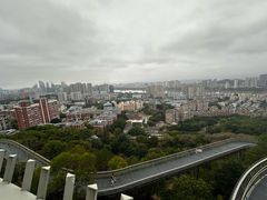 -福道