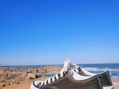 -日照灯塔风景区