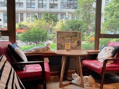 靠窗位-咖法森林·咖啡  酒吧(天河店)