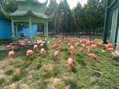 -秦皇岛野生动物园