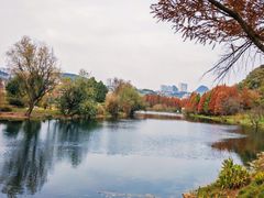 -贵阳市花溪国家城市湿地公园