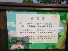 -田园东方蜜桃村的田野营地