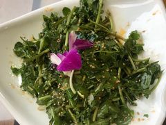 -尽善百年古院餐厅(王家老宅店)