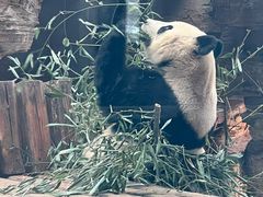 -石家庄市动物园