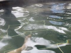 -山湖温泉