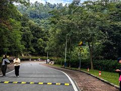 -火炉山森林公园