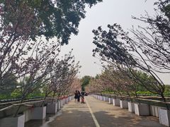 -观澜湖生态运动公社