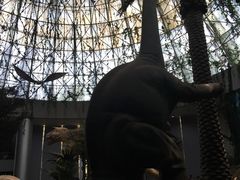 -中国西峡恐龙遗迹园
