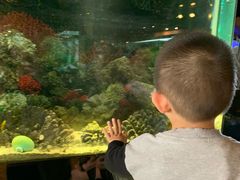 -泰谷酒店·太古码头闽菜自助餐厅