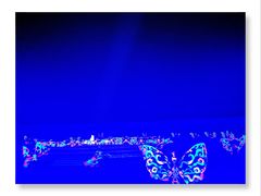 -鼎盛王朝康熙大典实景演出