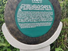 -海南铜鼓岭景区