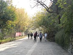 -佛慧山