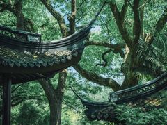 -上海醉白池公园